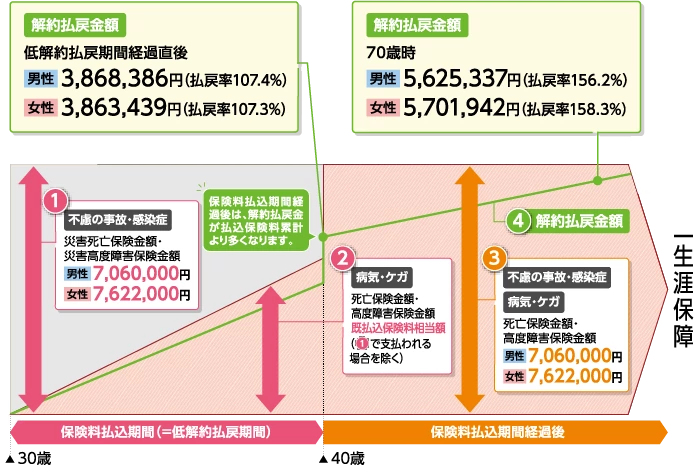 スマホ画像